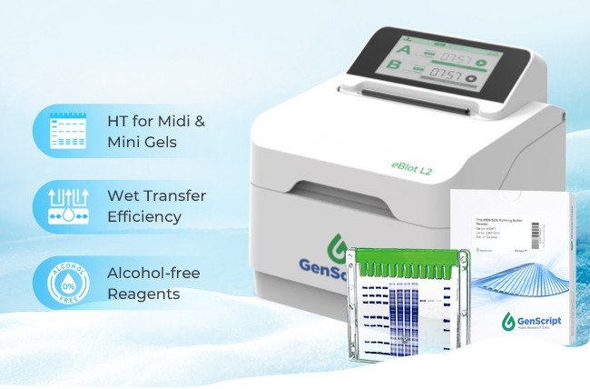 eBlotTM-L2 eBlotTM-L2