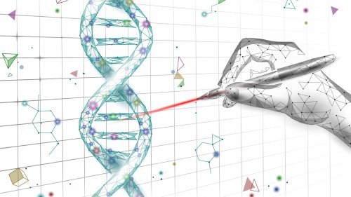 shutterstock_1714493575